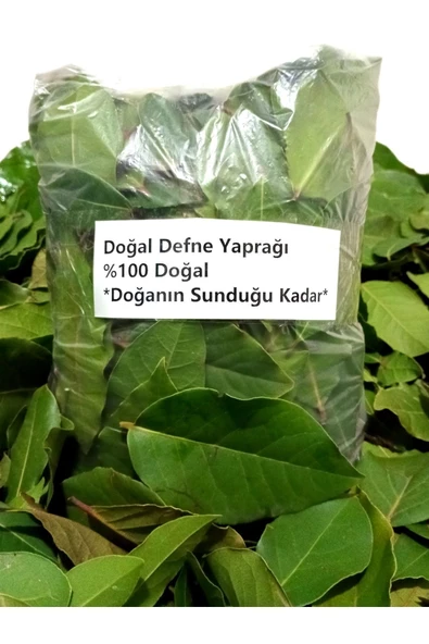 Akdeniz Defne Yaprağı 50 Gr Dalından