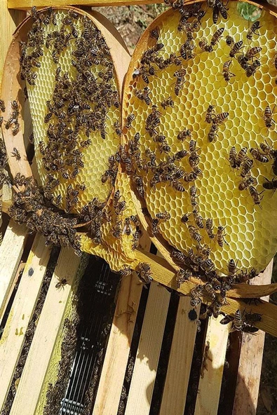 Karakovan Petek Bal (1kg) - 2