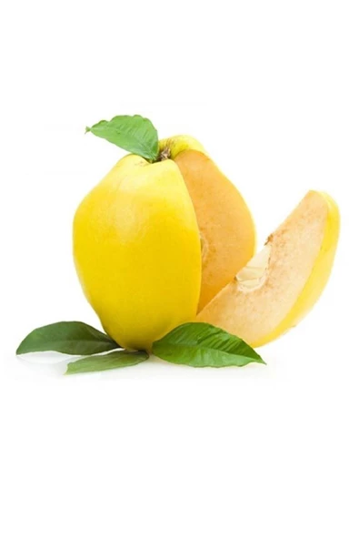 Ayva 1 kg ürün görseli 1