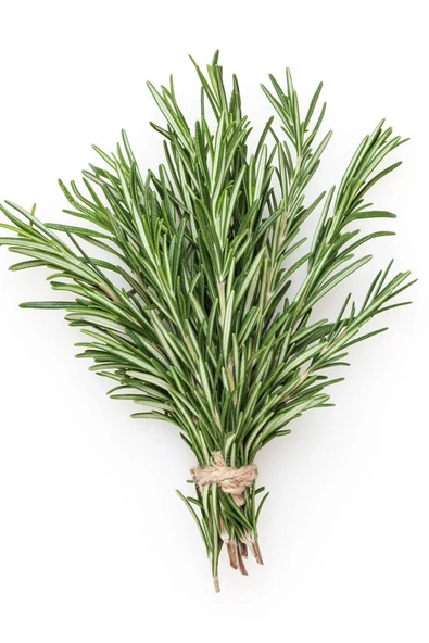 25 gram Doğal Taptaze Organik Biberiye Otu 25gr. Fresh Rosemary Dalından Evinize Taptaze - 3