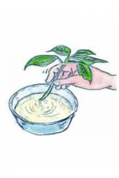 Doğal KÖKLENDİRME TOZU Köklendirme HORMONU ***2 Grm *** GİBBERELL - 4