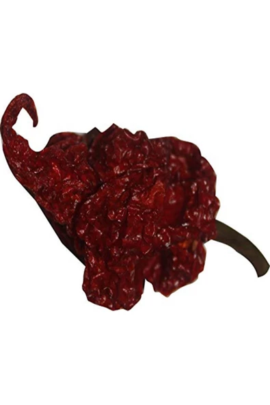 +3 Adet Carolina Reaper Biberi Kurutulmuş Bire Bir Orginal Ürün ürün görseli 1