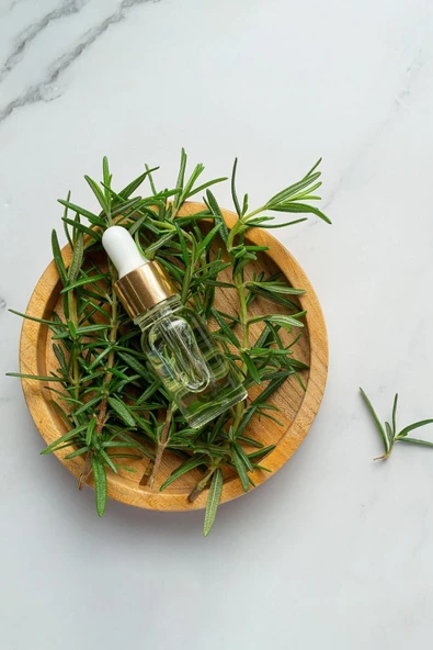 Üreticiden Ilaçsız 40 Gr. Biberiye Otu Taze Doğal Organik Rosemary - 2