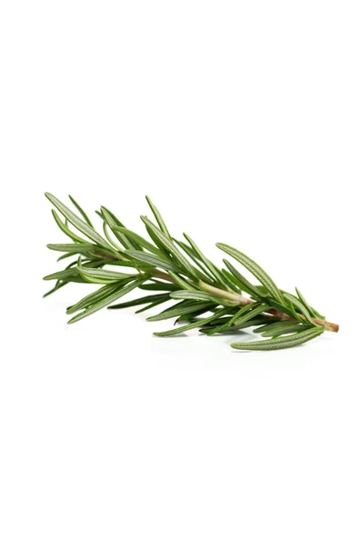 Üreticiden Ilaçsız 40 Gr. Biberiye Otu Taze Doğal Organik Rosemary - 7