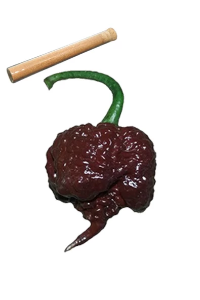 5+gram Çikolata Carolina Reaper Biberi Toz Biber Bire Bir Orginal Ürün - 2