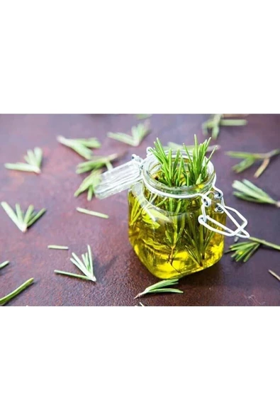 25 gram Doğal Taptaze Organik Biberiye Otu 25gr. Fresh Rosemary Dalından Evinize Taptaze - 5