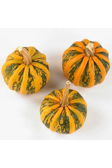 Kamo Kamo yazlık kışlık kabak tohumu squash - 6