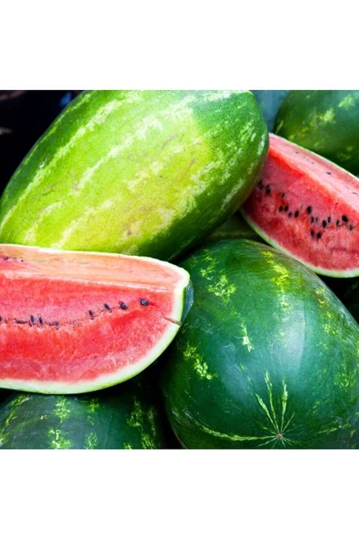 All sweet karpuz tohumu geleneksel all sweet heirloom watermelon seeds - 5