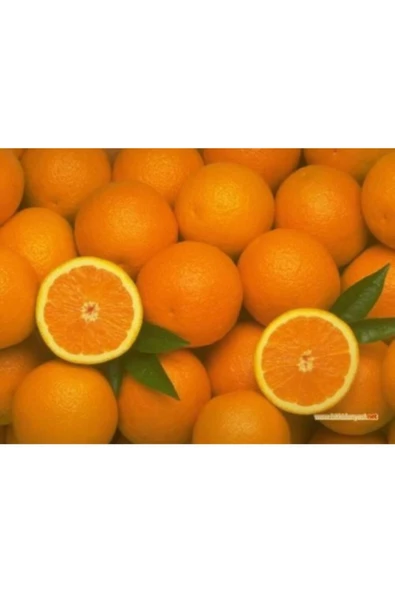 Yerli Organik Portakal 5 Kg Ilaçsız Organik Köyceğiz Portakalı - 2