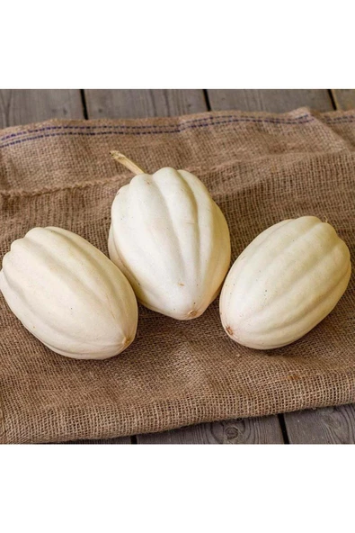 Patates püresi kışlık kabak tohumu mashed patato - 7