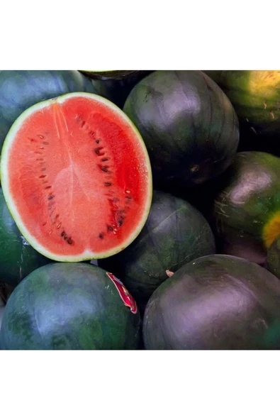Siyah elmas karpuz tohumu geleneksel watermelon black diamond - 4