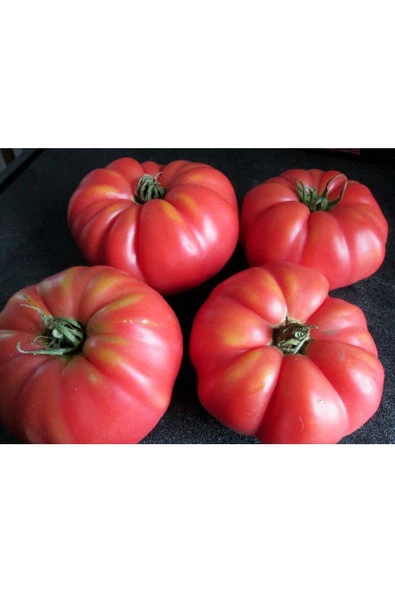 Pembe Ege köy domatesi tohumu atalık söğüşlük çeşit - 4