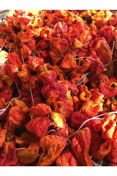 DOLMALIK BİBER KURUSU - 2