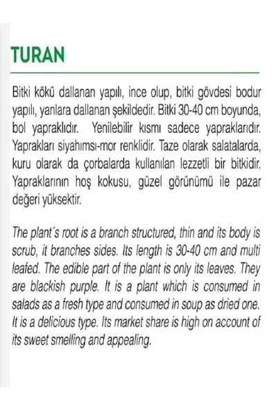 Ata Tohumu Yerli Doğal Kokulu Mor Reyhan Turan 1000 Adet Sebze Tohumu - 2