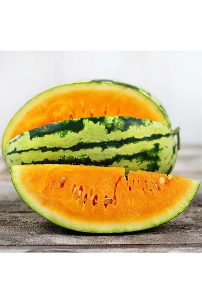 Orangeglo karpuz tohumu portakal karpuzu - 6