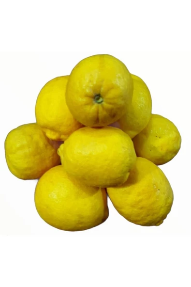 Limon Taptaze Bol Sulu En Az 5 kg