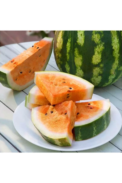 Orangeglo karpuz tohumu portakal karpuzu - 5