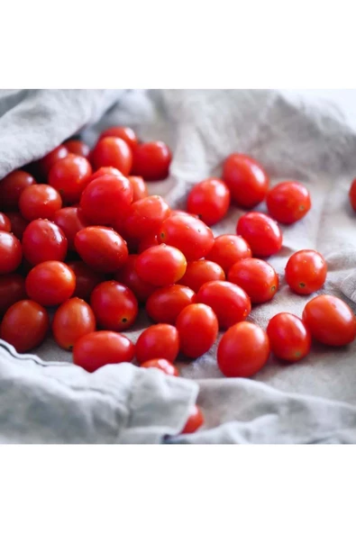 Atalık Bebek Üzümü domates tohumu sırık tip - 5