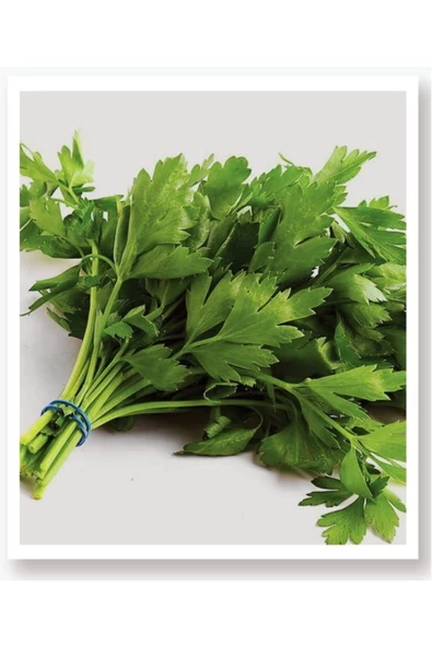 Karışık Yeşillik Sebze Seti Tohumları 6 Çeşit Sebze Biner Adet - 3