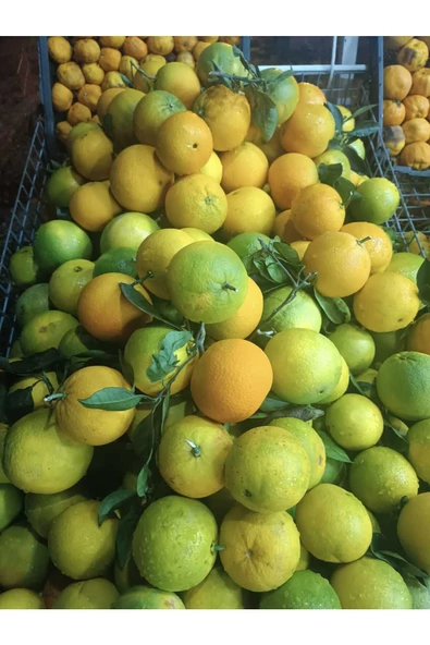 Portakal 20 kg. ürün görseli 1