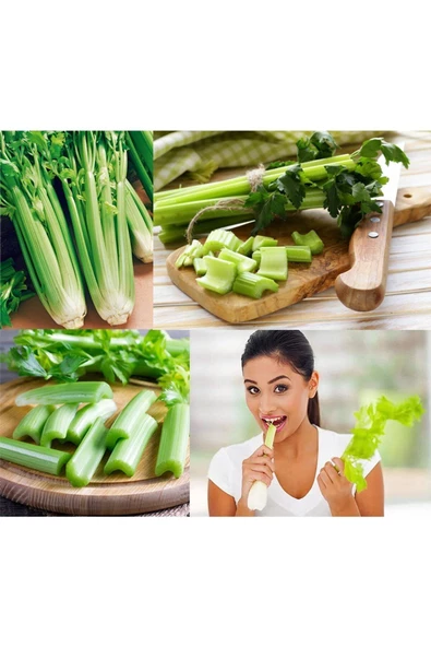 Sap kereviz tohumu tendercrisp Atalık diyet dostu - Resim 6