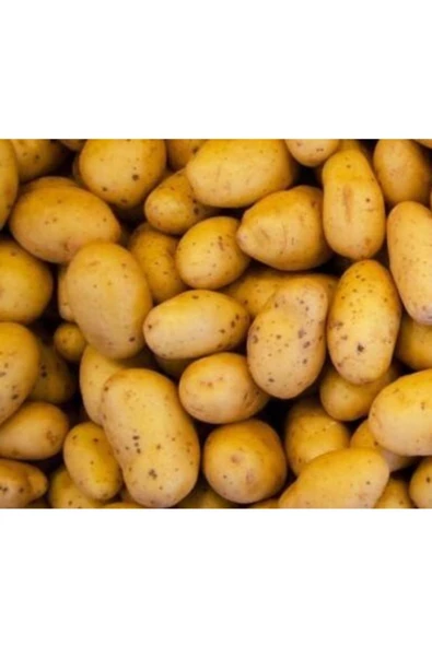 Fmb Güvenilir Gıda Patates 5 Kg - 2