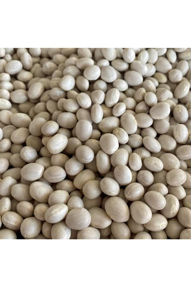 Erzincan şeker fasulyesi tohumu Atalık yerel tohum - 5