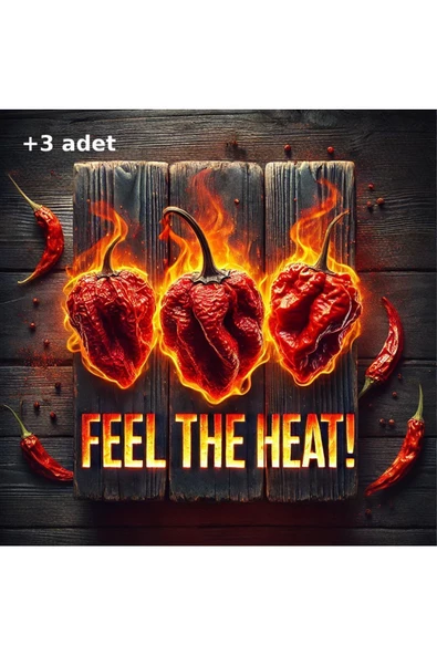 3 Adet Trinidad Moruga Scorpion Biberi Dünyanın En Acı 2.nci Biberi - 4