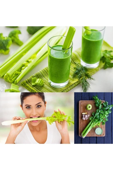 Sap kereviz tohumu tendercrisp Atalık diyet dostu - Resim 2