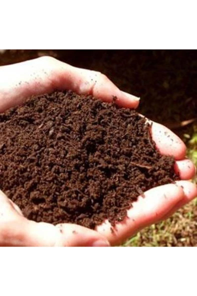 Semiz Otu Tohumu Semizotu Tohumu 100 Tohum + Saksı + Toprak - 5