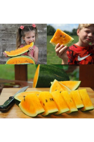 Orangeglo karpuz tohumu portakal karpuzu - 3