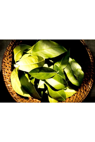Taze Dalından Organik Limon Yaprağı 75 gram - 2
