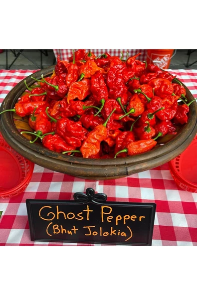 Dünyanın en acı biberi bhut jolokia biber tohumu ürün görseli 1
