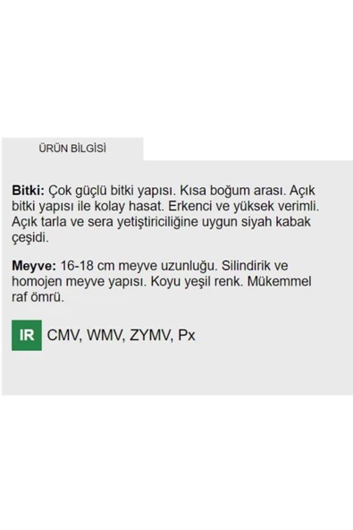 Ata Tohumu Yerli Doğal Dolmalık Esmer Siyah Kabak Tohumu 20 Adet Tohum - 2