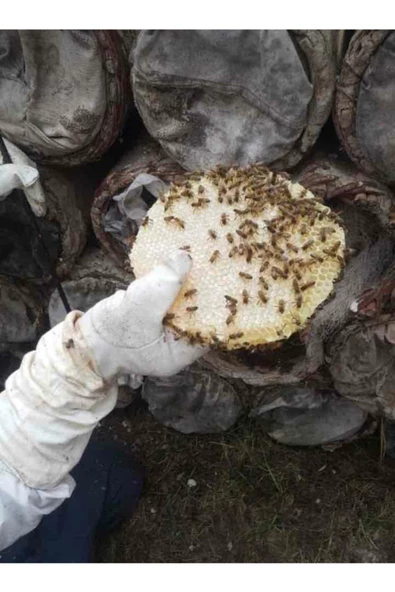 Yabani Dağ Balı Süzme (850 gr) - 3