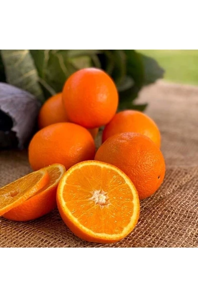 Portakal 3 Kg Limon 2 Kg - 5