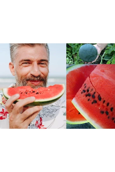 Yerli Akhisar kara karpuz tohumu atalık tohum - Resim 3