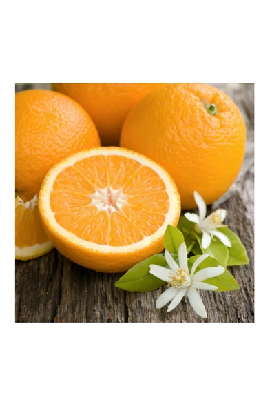 Tatlı Portakal 1 kg ürün görseli 1