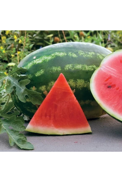 All sweet karpuz tohumu geleneksel all sweet heirloom watermelon seeds - 7