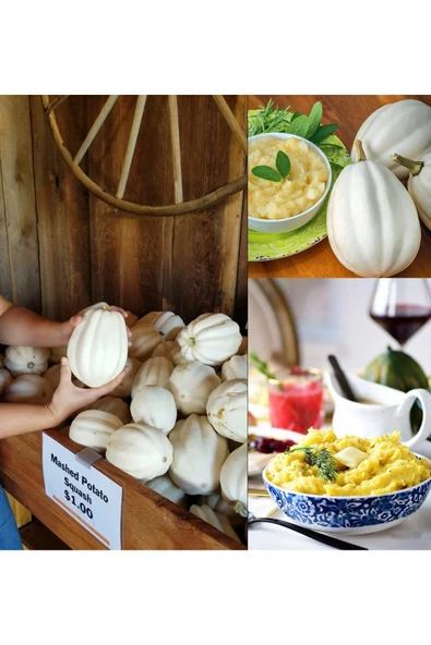 Patates püresi kışlık kabak tohumu mashed patato - 6