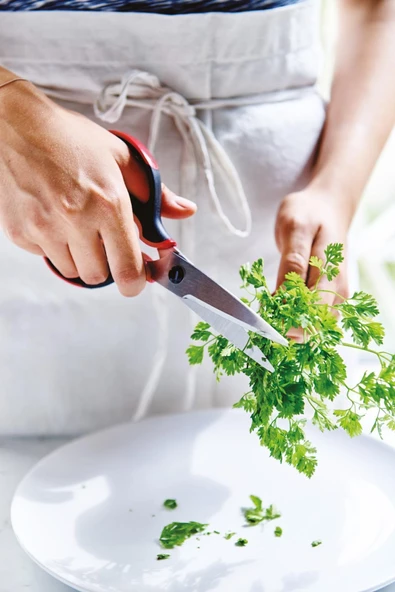 Ergonomik Kulplu Mutfak Makası - 5