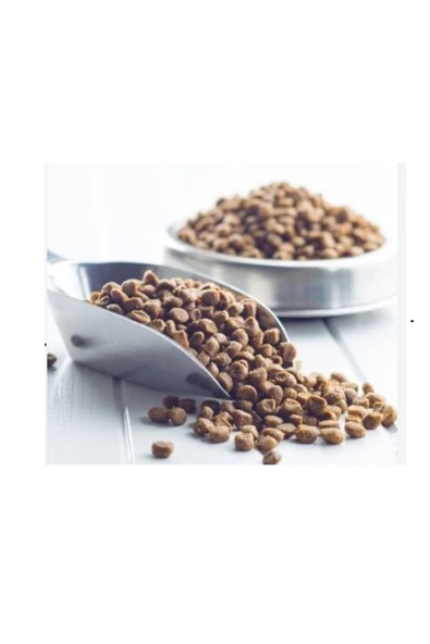 R. Canin Kitten-YAVRU Kedi Maması 2 Kg Paket
