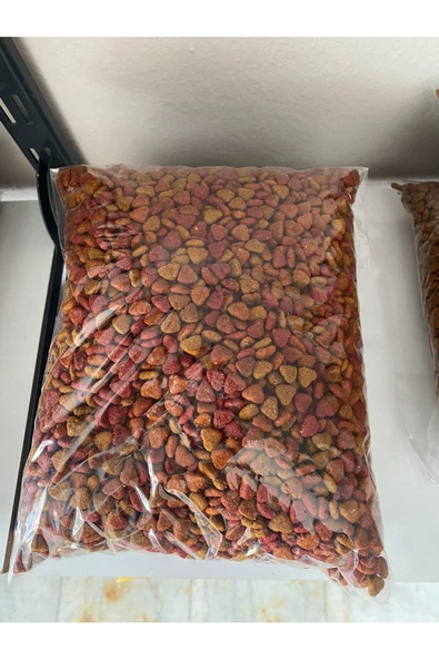 Enjoy Yetişkin Tavuklu Çok Renkli Kedi Maması 2 Kg