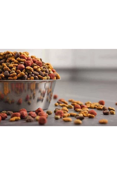 1 Kg Kedi Maması skt:2026 ürün görseli 1