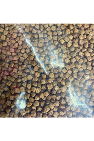 Rico Marka 1kg Yavru, 1kg Tavuklu Yetişkin Ve 1kg Balıklı Yetişkin Kedi Maması - Resim 7