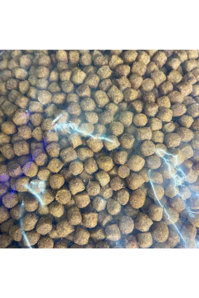 Rico Marka 1kg Yavru, 1kg Tavuklu Yetişkin Ve 1kg Balıklı Yetişkin Kedi Maması - Resim 5