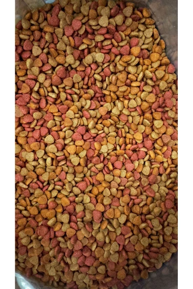 Gurme Kedi Maması Renkli Taneli Tavuk-balık-kuzuetli 1kg