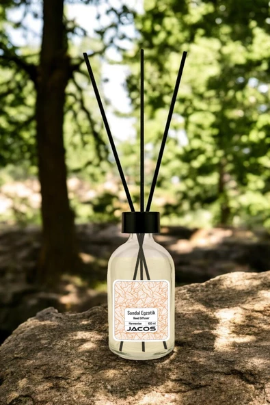 Sandal Egzotik Kokulu Bambu Çubuklu Sandal Egzotik Çubuklu Oda Kokusu 100ml Reed Diffuser - 2