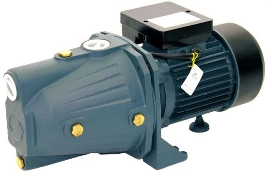 Rainpump SGJW110 Santrifuj Pompa 1.5Hp Bakır Sargılı