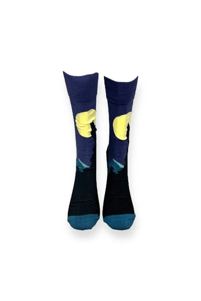 2'li Desenli Unisex Esnek Nem Alabilen Pamuklu Soket Çoraplar - Resim 4